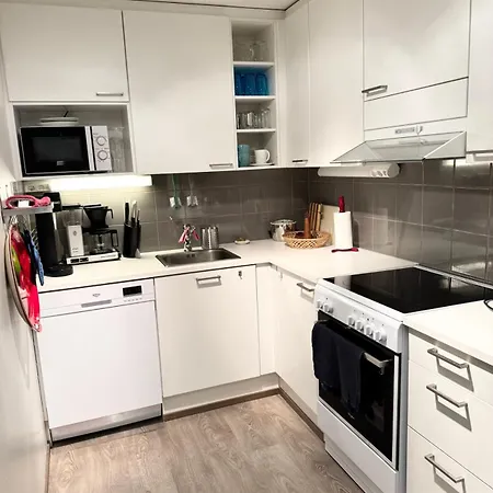 Hhh Cosy Stay, Free Parking In 600 Meters Huoneisto Helsinki